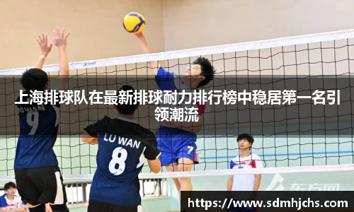 上海排球队在最新排球耐力排行榜中稳居第一名引领潮流