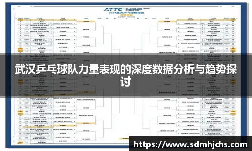 武汉乒乓球队力量表现的深度数据分析与趋势探讨