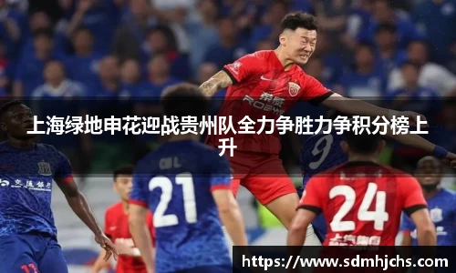 上海绿地申花迎战贵州队全力争胜力争积分榜上升